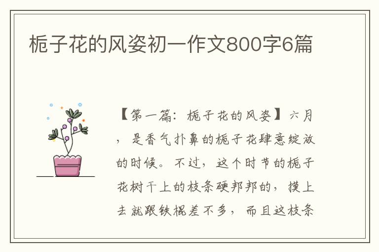 栀子花的风姿初一作文800字6篇