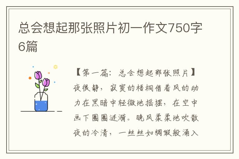 总会想起那张照片初一作文750字6篇