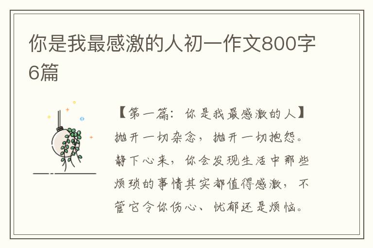 你是我最感激的人初一作文800字6篇