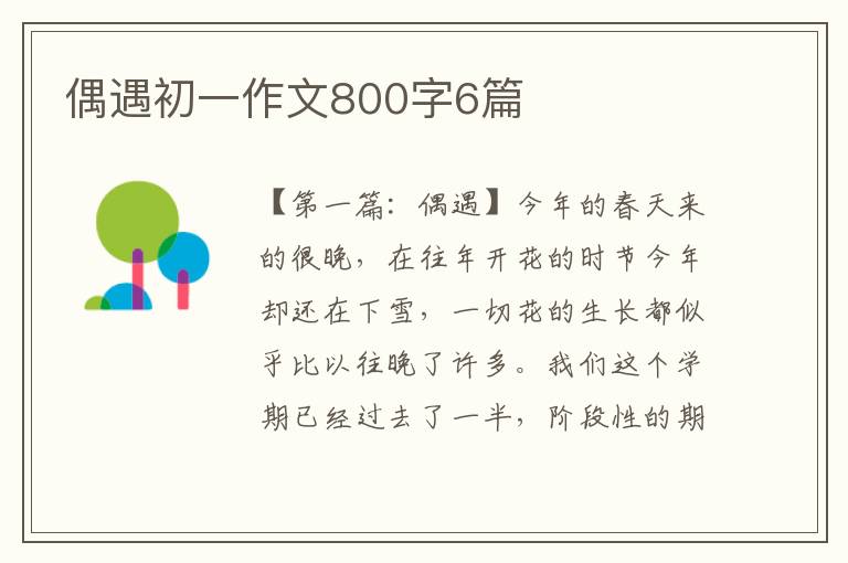 偶遇初一作文800字6篇