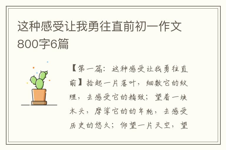 这种感受让我勇往直前初一作文800字6篇