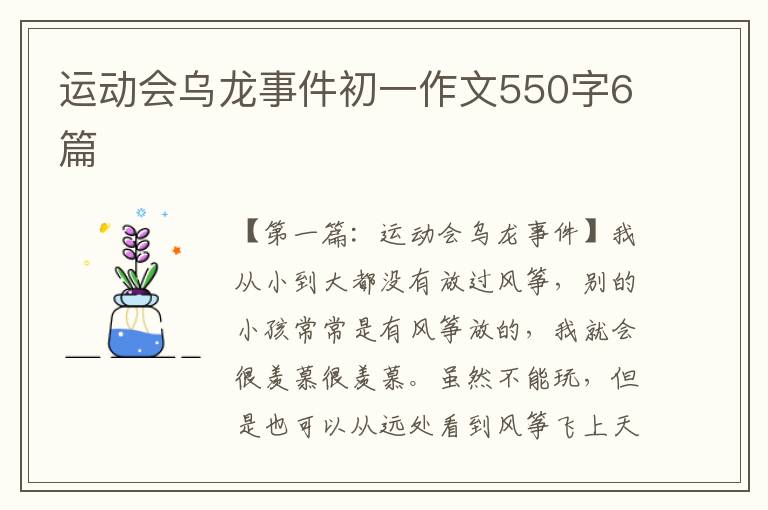 运动会乌龙事件初一作文550字6篇