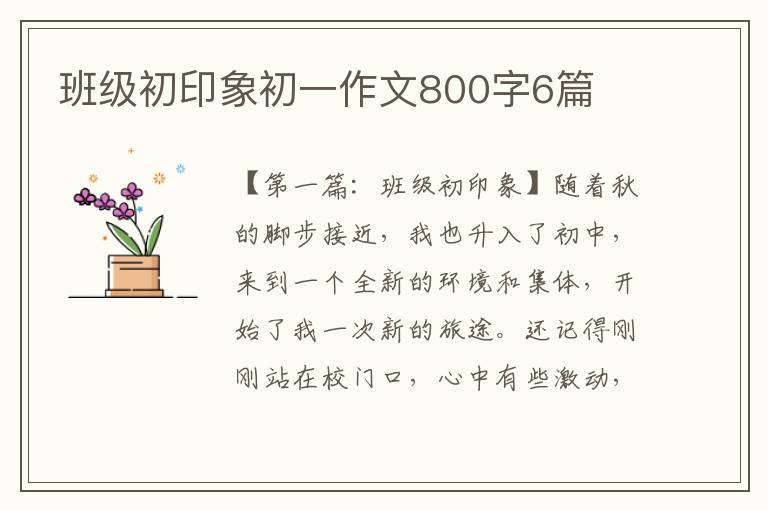 班级初印象初一作文800字6篇