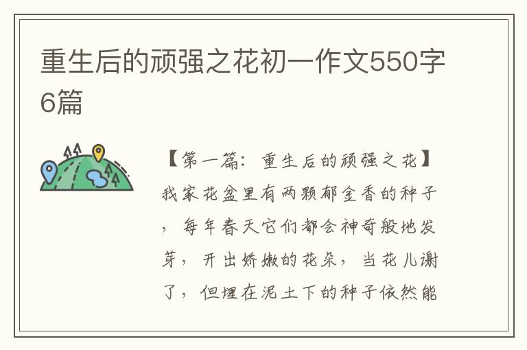 重生后的顽强之花初一作文550字6篇