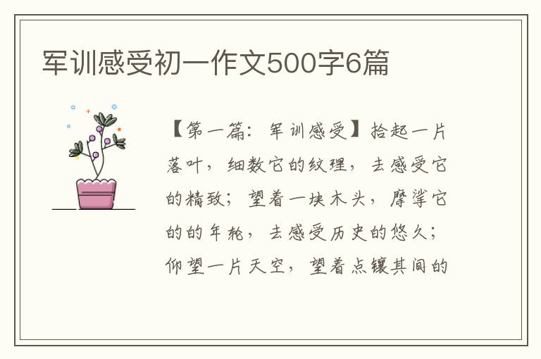 军训感受初一作文500字6篇