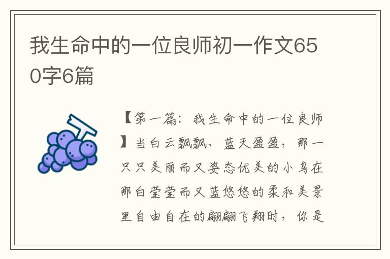 我生命中的一位良师初一作文650字6篇