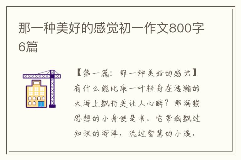 那一种美好的感觉初一作文800字6篇