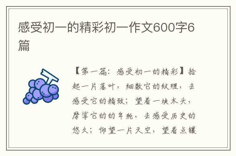 感受初一的精彩初一作文600字6篇