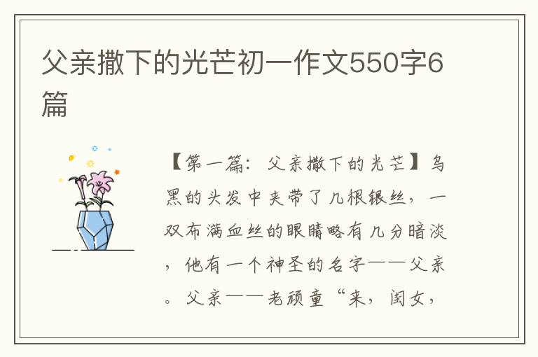 父亲撒下的光芒初一作文550字6篇