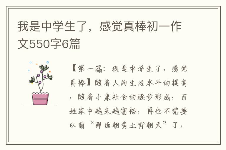 我是中学生了，感觉真棒初一作文550字6篇