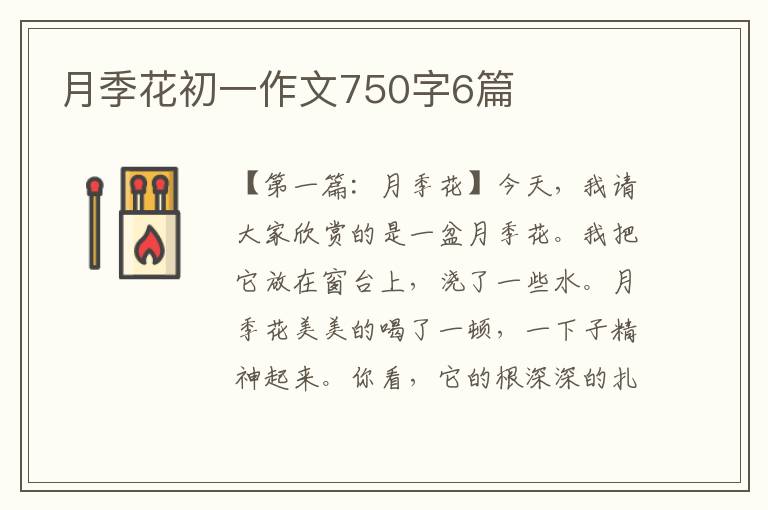 月季花初一作文750字6篇