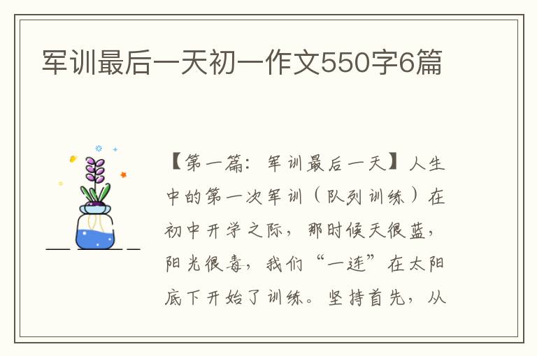 军训最后一天初一作文550字6篇