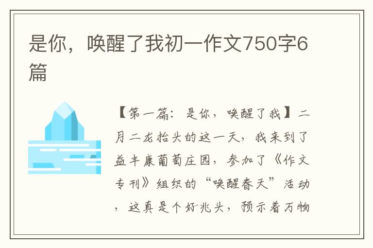 是你，唤醒了我初一作文750字6篇