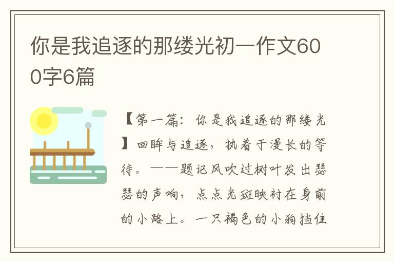 你是我追逐的那缕光初一作文600字6篇