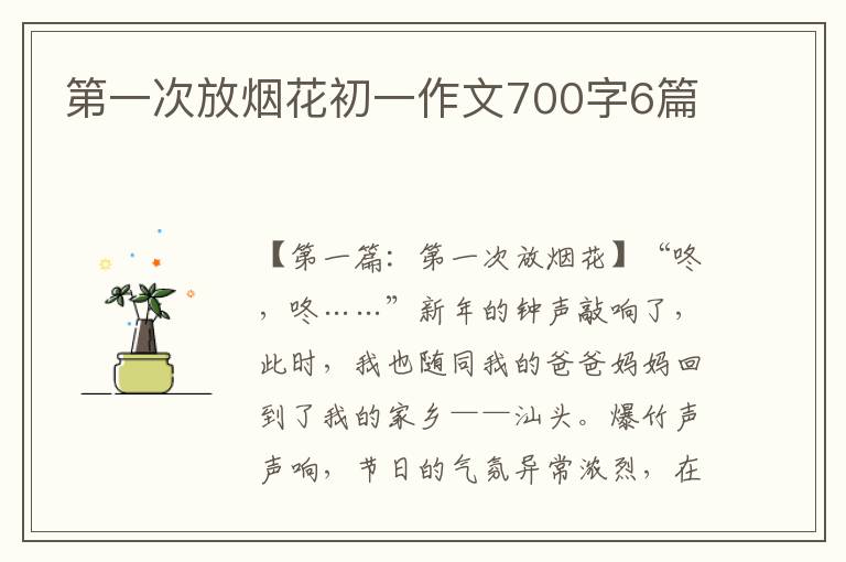 第一次放烟花初一作文700字6篇