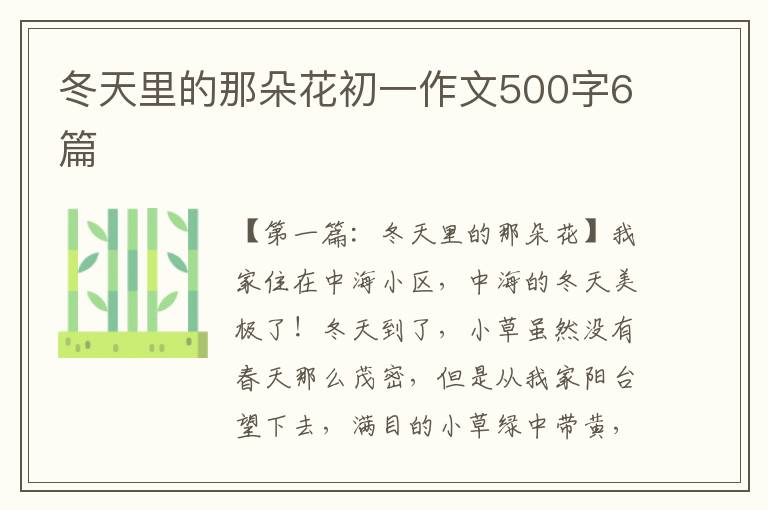 冬天里的那朵花初一作文500字6篇