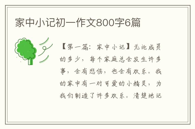 家中小记初一作文800字6篇