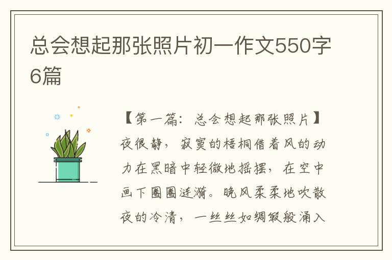 总会想起那张照片初一作文550字6篇