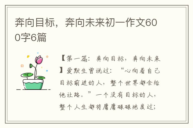 奔向目标，奔向未来初一作文600字6篇