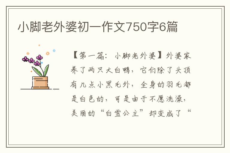 小脚老外婆初一作文750字6篇