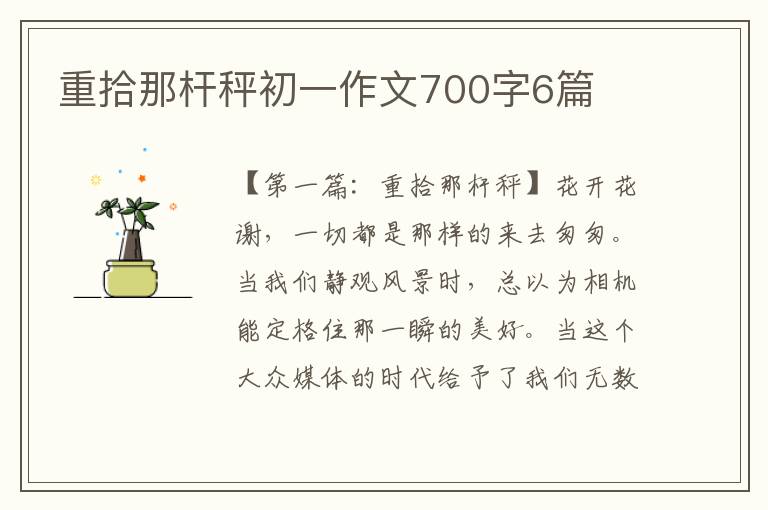 重拾那杆秤初一作文700字6篇