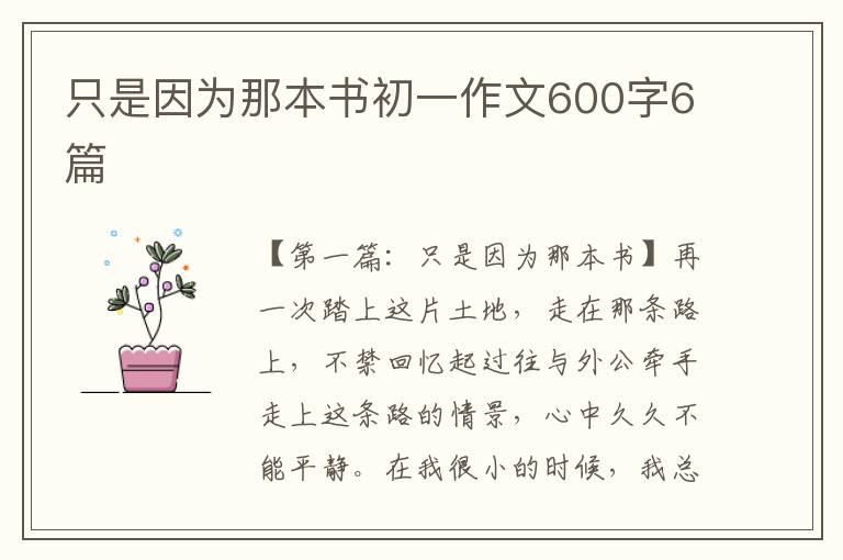 只是因为那本书初一作文600字6篇