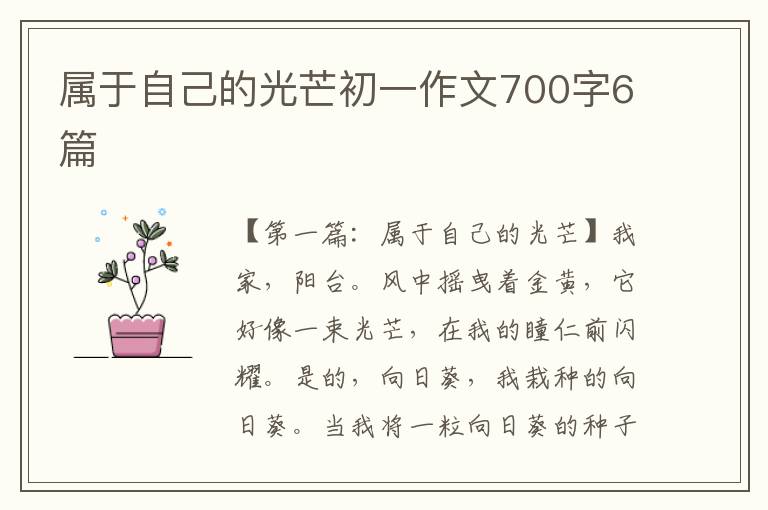 属于自己的光芒初一作文700字6篇