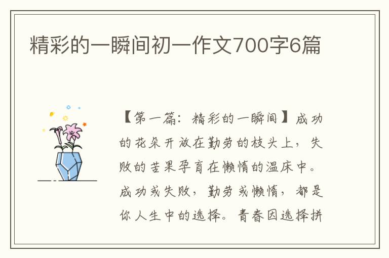 精彩的一瞬间初一作文700字6篇