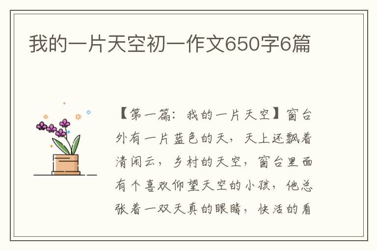 我的一片天空初一作文650字6篇